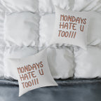 Sarcastic Quote Pillow